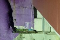 Stesen Air Kecemasan Roo Rescue Dipasang pada Lori Wilayah Utara